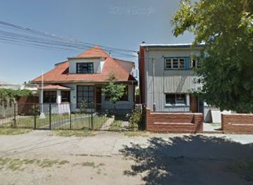 chile/valdivia/shop/valditoons