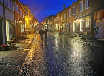 norway/roros/shop/rorosrypan