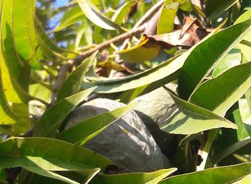 bhutan/sarpang-district/shop/sansari-market