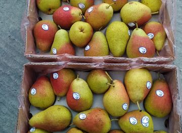 maldives/haa-dhaalu-atoll/shop/realpoint