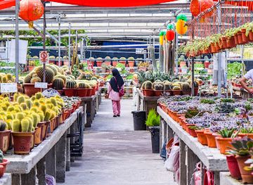 malaysia/cameron-highlands/shop/cactus-point-brinchang-pahang