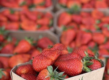 slovenia/kranjska-gora/shop/sadje-in-zelenjava-nedzat-idrizi-s-p