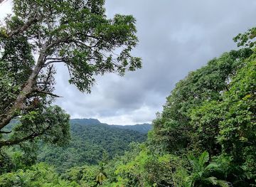 saint-lucia/tet-paul-scenic-trail/shop/millet-bird-sanctuary-and-nature-trail