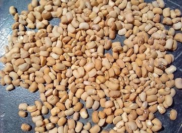 cameroon/mora/shop/ibi-bazar