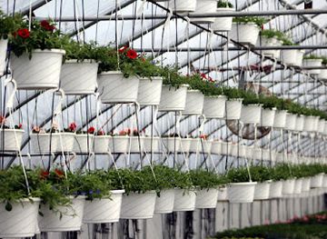 maine/hancock-county/shop/simons-hancock-farms-greenhouses