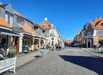 denmark/skagen/shop/skagen