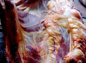 burkina-faso/ziniare/shop/boucherie-tapsoba