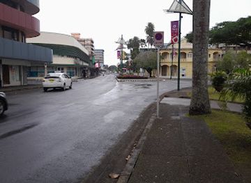 fiji/suva/shop/tulips