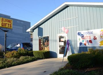 wisconsin/sheboygan/shop/b-loonie-gifts-party-store-llc