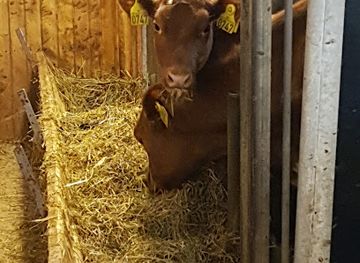 norway/hafjell/shop/audun-orrestad