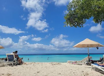 curacao/piscadera/shop/pioneer-store