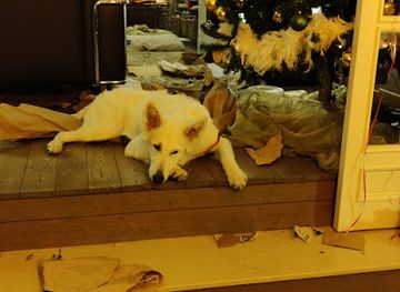 belgium/bruges/shop/jacob-s-conceptstore