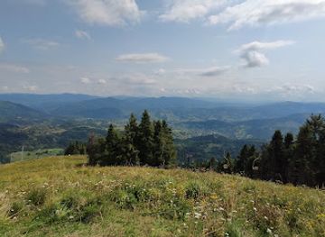 ukraine/trostyan/shop/mt-trostyan-1232m