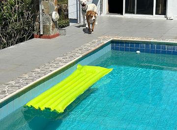 british-virgin-islands/tortola-beaches/shop/l-l-buy-and-sell