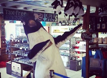 argentina/central-patagonia/shop/perro-polar-patagonia-shop