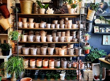 california/muir-woods-national-monument/shop/cove