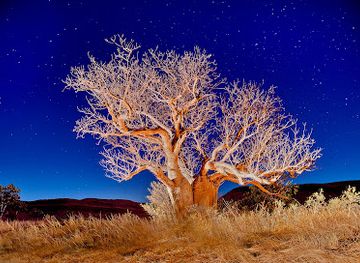 australia/western-australia/shop/penney-s-prints-local-photography-and-printing-service-boutique-shopping-in-the-kimberley