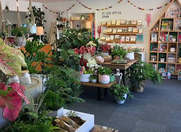 north-carolina/greensboro/shop/the-tiny-greenhouse