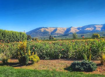 oregon/columbia-river-gorge/shop/the-gorge-white-house