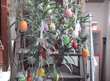 romania/satu-mare/shop/retrolibris