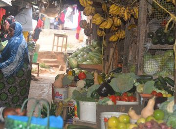 tanzania/usambara-mountains/shop/friends-of-usambara-society