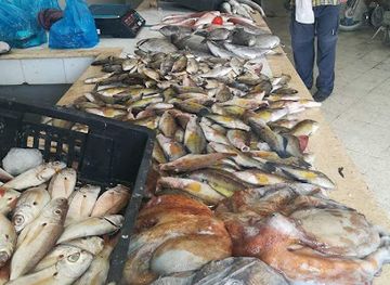 tunisia/el-haouaria/shop/marche-poisson