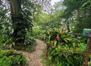 costa-rica/monteverde-cloud-forest-biological-reserve/shop/monteverde-art-house-gallery