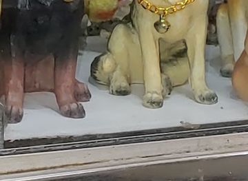 india/nagpur/shop/deepak-emporium