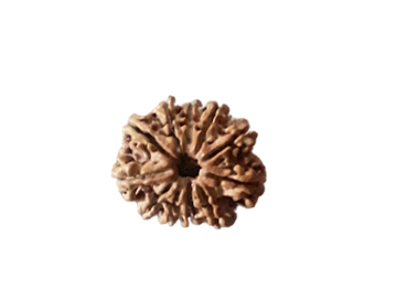 nepal/kathmandu/pashupatinath/shop/nepalrudraksha-com