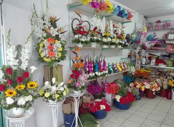 chile/arica/shop/floreria-el-jardin-de-yecenia