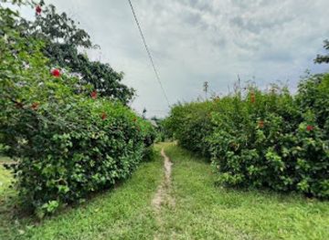 ecuador/cuyabeno-wildlife-reserve/shop/cuyabeno