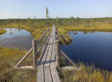 latvia/kemeri-national-park/shop/start-of-the-kemeri-bog-walk