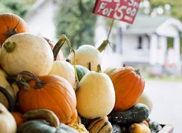 mississippi/hattiesburg/shop/banana-peel-consignment