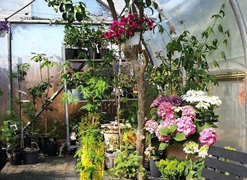 iceland/hveragerdi/shop/flora-garoyrkjustoo