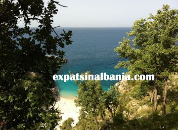 albania/mysia/shop/expats-in-albania