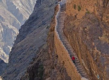 jordan/mujib-nature-reserve/shop/azraq-wetlands-reserve