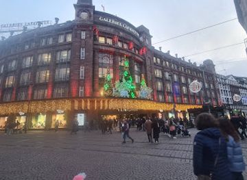 france/strasbourg/shop/maje-galeries-lafayette-strasbourg