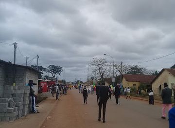 gabon/chaillu-massif/shop/marche-central