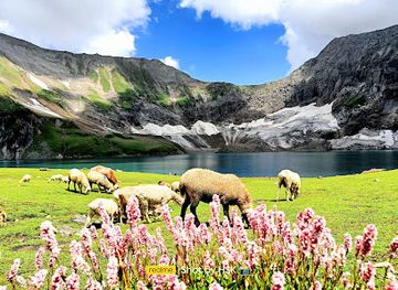 pakistan/ratti-gali-lake/shop/ratti-gali-lake