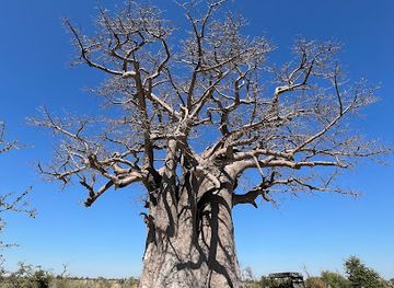 botswana/kalahari-desert/shop/makgadikgadi-pans-national-park