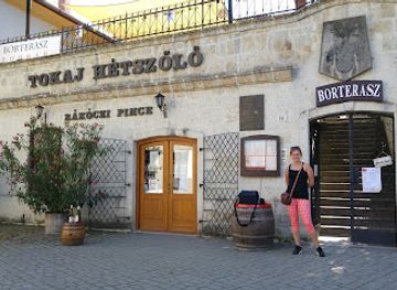 hungary/bodrogkoz/shop/rakoczi-pince