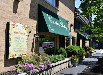 illinois/oak-lawn/shop/the-country-daisy-flower-shop