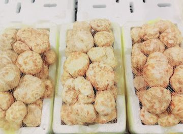 qatar/zekreet-beach/shop/omani-souq