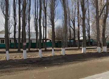 kazakhstan/bartogay-lake/shop/dino-milashka