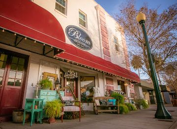 nevada/hoover-dam/shop/bloom