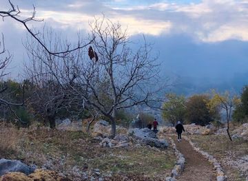 lebanon/al-shouf-cedar-nature-reserve/shop/shouf-biosphere-reserve-jbaa-entrance