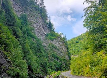 ukraine/svydovets-mountains/shop/svydovets-stream