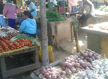 madagascar/mandrare-river/shop/master-shop