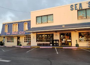 Sea Shell City, Inc