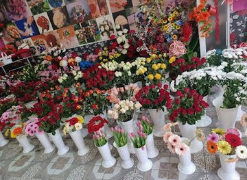 romania/sighisoara/shop/floraria-sedy
